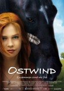 Ostwind – Zusammen sind wir frei (Vihor) 2013